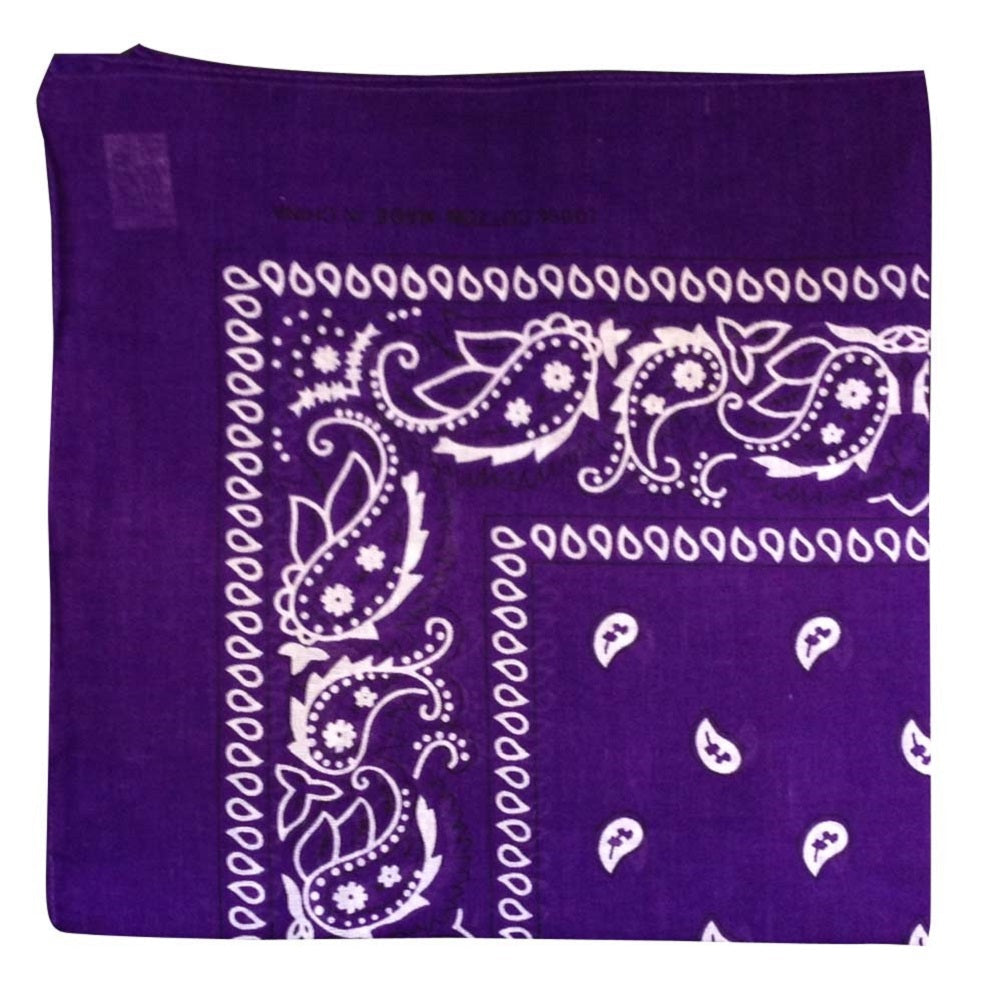 Purple Paisley Bandana - 22" x 22" (100% cotton)