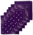 Purple Paisley Bandanas (6 Pack) 22