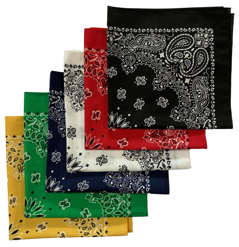 Made in the USA Paisley Bandanas