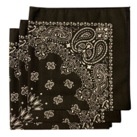 Made in the USA Paisley  Bandanas - 3 Pack, 22" x 22", 100% Cotton