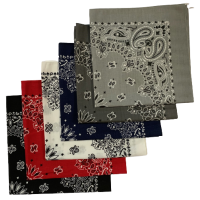 Made in the USA Assorted Paisley  Bandanas -6 Pack, 22" x 22", 100% Cotton Additional