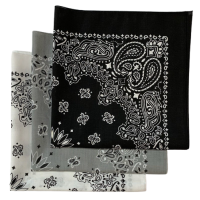 Made in the USA Assorted Paisley  Bandanas -3 Pack, 22" x 22", 100% Cotton Additional