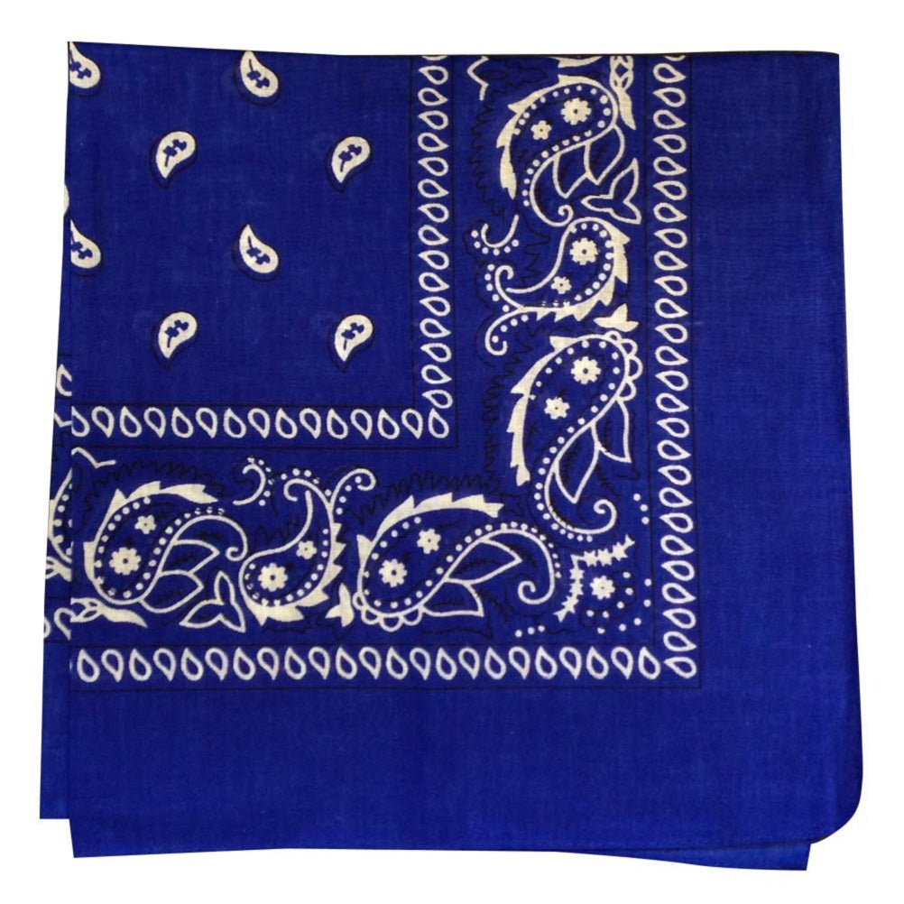 Blue Paisley Bandana - 22" x 22" (100% cotton)