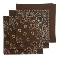 Made in the USA Paisley  Bandanas - 3 Pack, 22" x 22", 100% Cotton