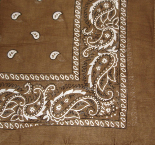 Brown Paisley Bandana - 22" x 22" (100% cotton)