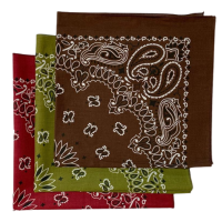 Made in the USA Assorted Paisley  Bandanas -3 Pack, 22" x 22", 100% Cotton Additional