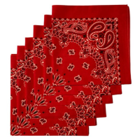 Made in the USA Paisley  Bandanas - 6 Pack, 22" x 22", 100% Cotton