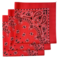 Made in the USA Paisley  Bandanas - 3 Pack, 22" x 22", 100% Cotton