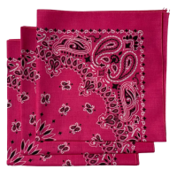 Made in the USA Paisley  Bandanas - 3 Pack, 22" x 22", 100% Cotton