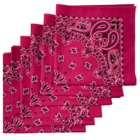 Made in the USA Paisley  Bandanas - 6 Pack, 22" x 22", 100% Cotton