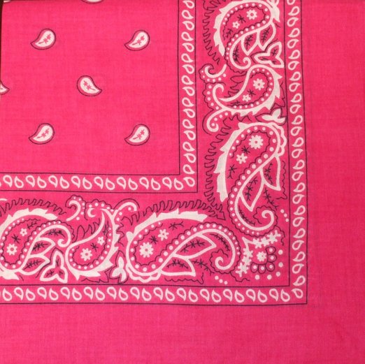 Hot Pink Paisley - 22" x 22" (100% Cotton)