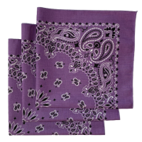 Made in the USA Paisley  Bandanas - 3 Pack, 22" x 22", 100% Cotton