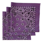 Made in the USA Paisley  Bandanas - 3 Pack, 22" x 22", 100% Cotton