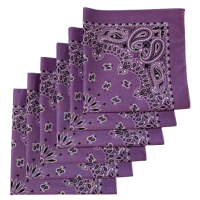 Made in the USA Paisley  Bandanas - 6 Pack, 22" x 22", 100% Cotton