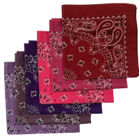 Made in the USA Assorted Paisley  Bandanas -6 Pack, 22" x 22", 100% Cotton Additional