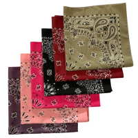 Made in the USA Assorted Paisley  Bandanas -6 Pack, 22" x 22", 100% Cotton Additional