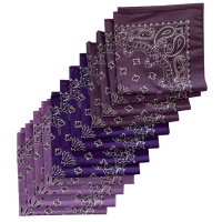 Made in the USA Assorted Paisley  Bandanas - 12 Pack, 22" x 22", 100% Cotton