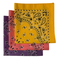 Made in the USA Assorted Paisley  Bandanas -3 Pack, 22" x 22", 100% Cotton Additional