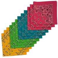 Made in the USA Assorted Paisley  Bandanas - 12 Pack, 22" x 22", 100% Cotton