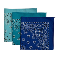 Made in the USA Assorted Paisley  Bandanas -3 Pack, 22" x 22", 100% Cotton Additional