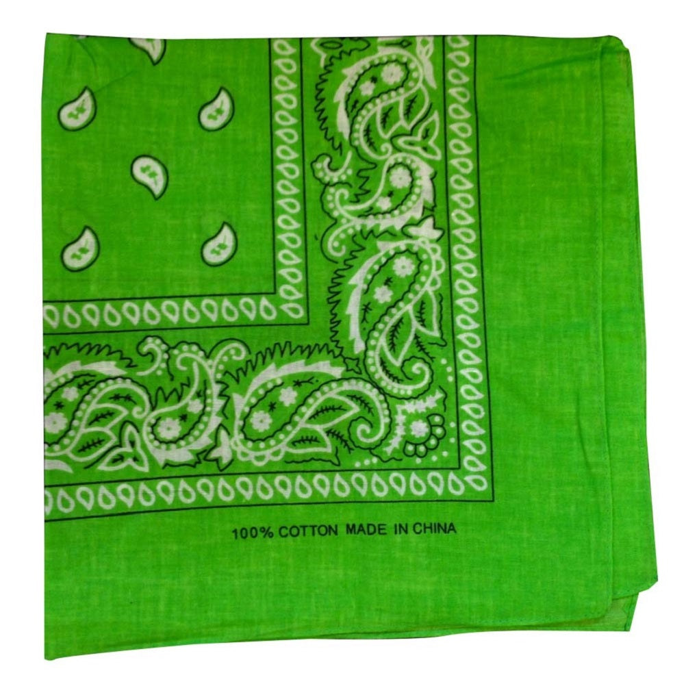 Light Green Paisley - 22" x 22" (100% Cotton)