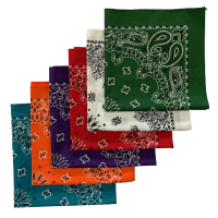 Made in the USA Assorted Paisley  Bandanas -6 Pack, 22" x 22", 100% Cotton Additional