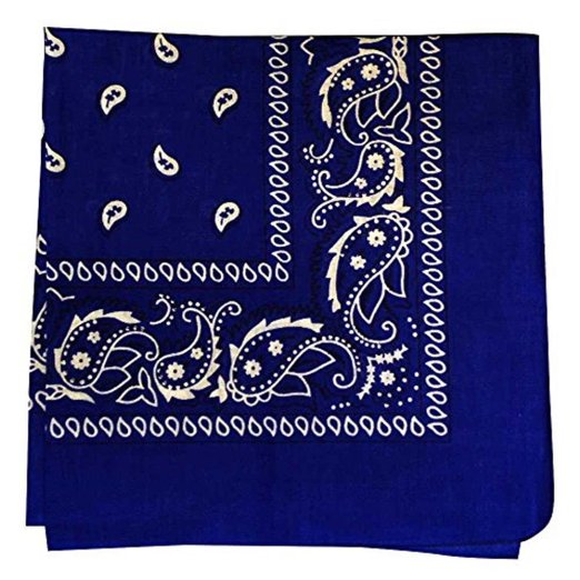 Navy Paisley Bandana - 22" x 22" (100% cotton)