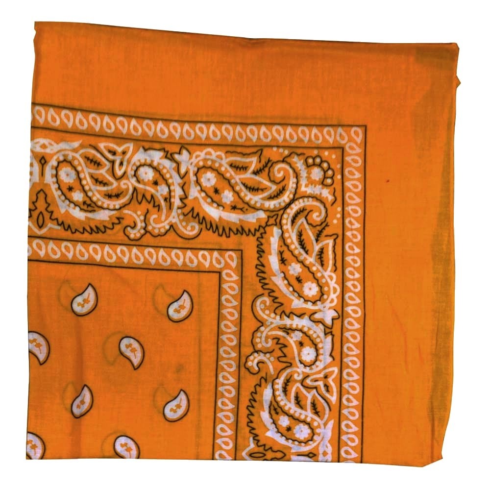 Orange Paisely Bandana - 22" x 22" (100% cotton)