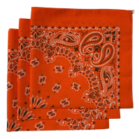 Made in the USA Paisley  Bandanas - 3 Pack, 22" x 22", 100% Cotton