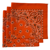 Made in the USA Paisley  Bandanas - 3 Pack, 22" x 22", 100% Cotton