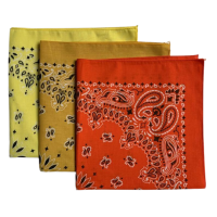 Made in the USA Assorted Paisley  Bandanas -3 Pack, 22" x 22", 100% Cotton Additional