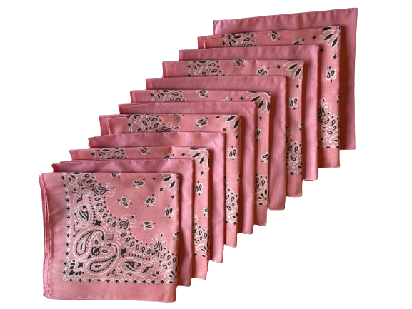 USA Made Paisley & Solid Pink Bandanas 12 Pk 22" 100% Cotton