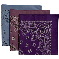 Made in the USA Assorted Paisley  Bandanas -3 Pack, 22" x 22", 100% Cotton Additional