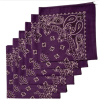 Made in the USA Paisley  Bandanas - 6 Pack, 22" x 22", 100% Cotton