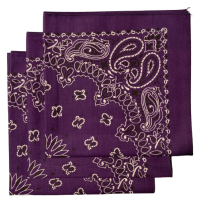 Made in the USA Paisley  Bandanas - 3 Pack, 22" x 22", 100% Cotton