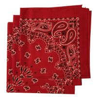 Made in the USA Paisley  Bandanas - 3 Pack, 22" x 22", 100% Cotton