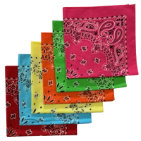 Made in the USA Assorted Paisley  Bandanas -6 Pack, 22" x 22", 100% Cotton Additional