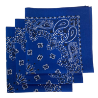 Made in the USA Paisley  Bandanas - 3 Pack, 22" x 22", 100% Cotton