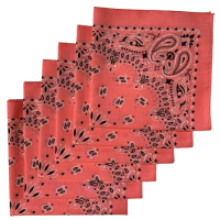 Made in the USA Paisley  Bandanas - 6 Pack, 22" x 22", 100% Cotton