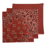 Made in the USA Paisley  Bandanas - 3 Pack, 22" x 22", 100% Cotton