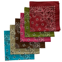 Made in the USA Assorted Paisley  Bandanas -6 Pack, 22" x 22", 100% Cotton Additional