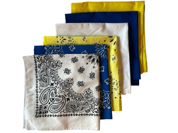 USA Made Paisley & Solid White Blue Yellow 6 PK 22" 100% Cotton