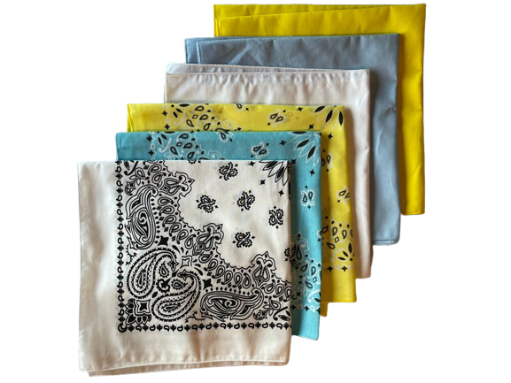 USA Made Paisley&Solid White, L Blue, Yellow 6pk 22" 100%Cotton