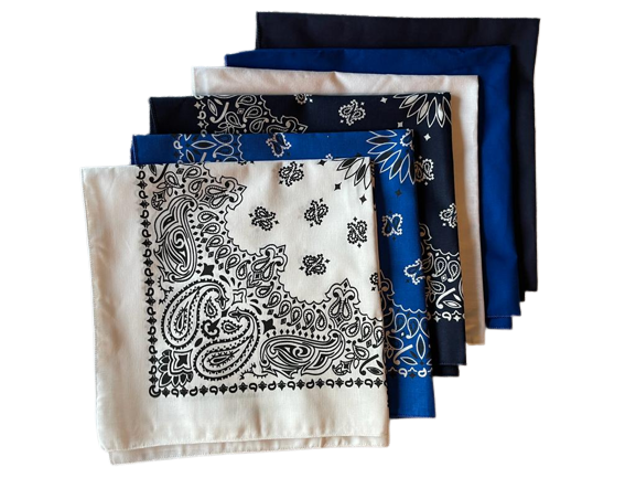 USA Made Paisley & Solid White, Royal, Navy 6PK 22" 100% Cotton