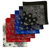 Made in the USA Assorted Paisley  Bandanas -6 Pack, 22" x 22", 100% Cotton Additional