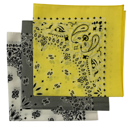 Made in the USA Assorted Paisley  Bandanas -3 Pack, 22" x 22", 100% Cotton Additional