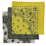 Made in the USA Assorted Paisley  Bandanas -3 Pack, 22" x 22", 100% Cotton Additional