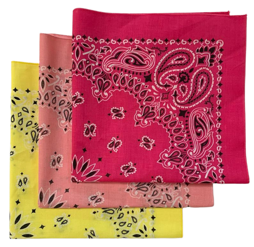 Made in the USA Assorted Paisley  Bandanas -3 Pack, 22" x 22", 100% Cotton Additional