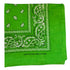 Light Green Paisley - 22" x 22" (100% Cotton)